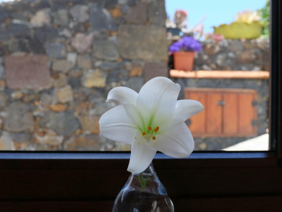 Casa Viges Villa El Pinar  Dış mekan fotoğraf